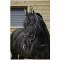 RIDING WORLD Trensenzaum mit kombiniertem Reithalfter
