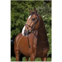 RIDING WORLD Trensenzaum mit kombiniertem Reithalfter