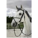 RIDING WORLD Trensenzaum mit mexikanischem Reithalfter