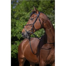 Bridon RIDING WORLD "Muserolle crois?e" 2