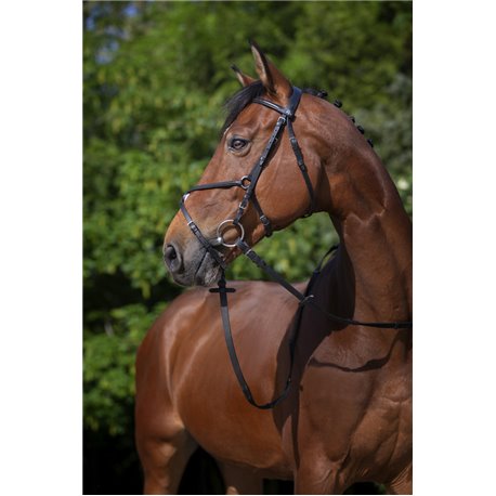 RIDING WORLD Trensenzaum mit mexikanischem Reithalfter