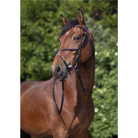 RIDING WORLD Trensenzaum mit mexikanischem Reithalfter