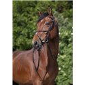 RIDING WORLD Trensenzaum mit mexikanischem Reithalfter