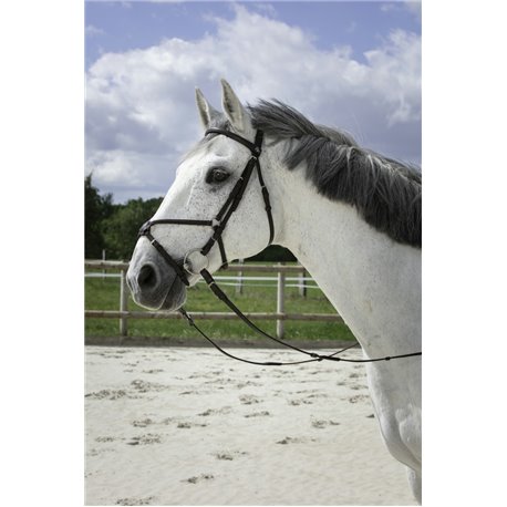 RIDING WORLD Trensenzaum mit mexikanischem Reithalfter
