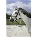 RIDING WORLD Trensenzaum mit mexikanischem Reithalfter