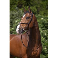 RIDING WORLD Trensenzaum mit mexikanischem Reithalfter 2