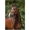 RIDING WORLD Trensenzaum mit mexikanischem Reithalfter