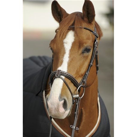 Bridon PENELOPE "Point Sellier"