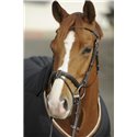 Bridon PENELOPE "Point Sellier"