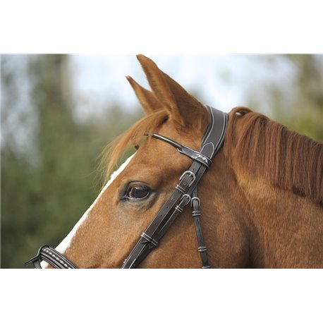 Bridon PENELOPE "Point Sellier"