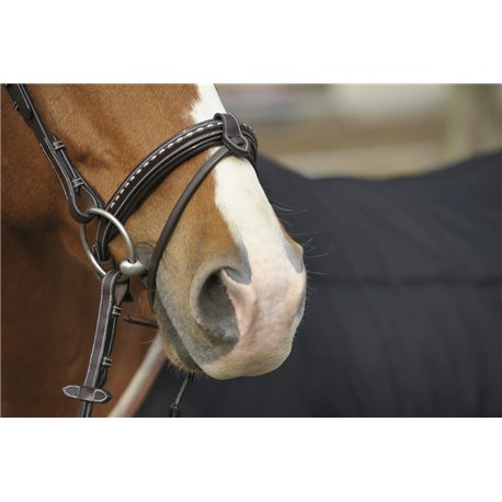 Bridon PENELOPE "Point Sellier"