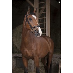 Bridon NORTON PRO "D?coup?" 2