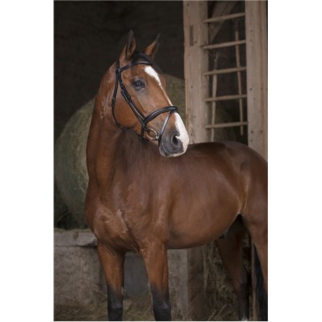Bridon NORTON PRO "Combin?e"