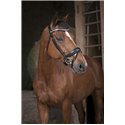 Bridon NORTON PRO "Strass"