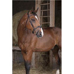 Bridon NORTON PRO "Vague" 2