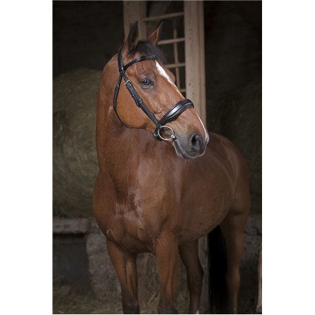 Bridon NORTON PRO "Confort"