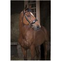 Bridon NORTON PRO "Confort"