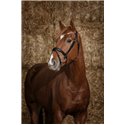 Bridon NORTON PRO "Brillant"