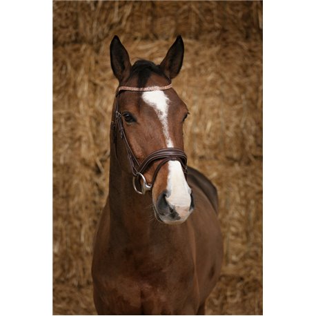 Bridon NORTON PRO "Brillant"