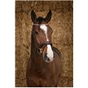 Bridon NORTON PRO "Brillant"