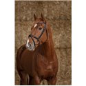 Bridon NORTON PRO "Perle"