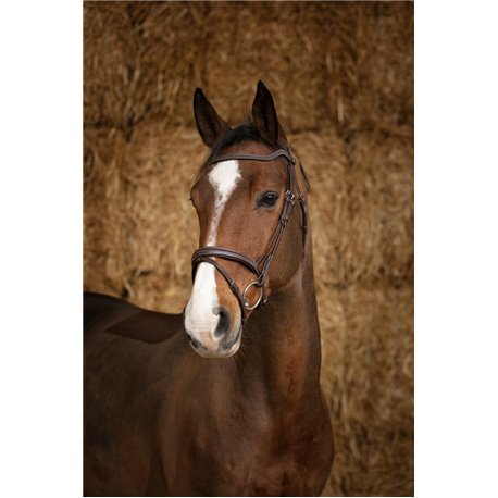 Bridon NORTON PRO "Perle"