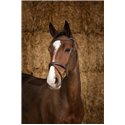 Bridon NORTON PRO "Perle"