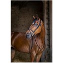 Bridon ERIC THOMAS HYBRID "Confort"