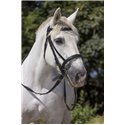 Bridon cheval de trait