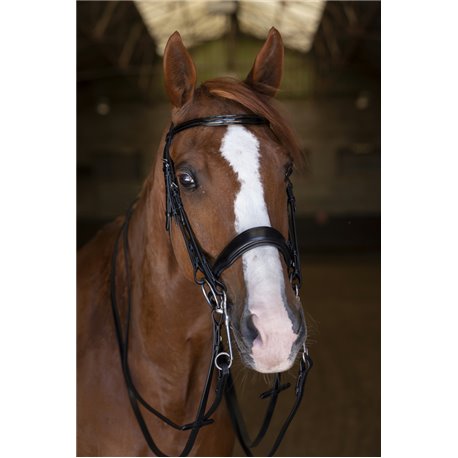 Bride ERIC THOMAS ELITE