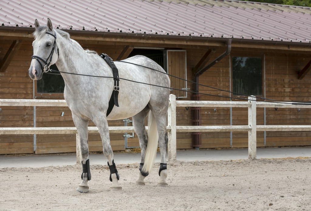 Rênes De Corde En Cuir Marron Pour Cheval, Neuves, Sans Marque