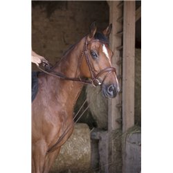 Rênes allemande cuir/corde NORTON PRO 2