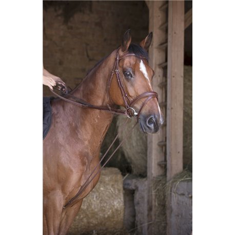 Rênes allemande cuir/corde NORTON PRO