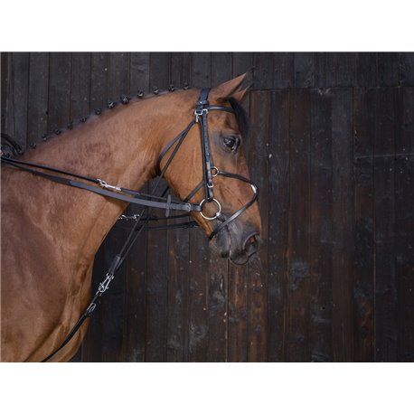 Rênes de gogue cuir RIDING WORLD