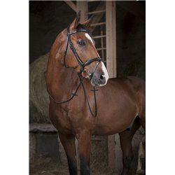 R?nes caoutchouc NORTON PRO 2