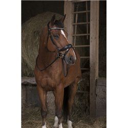 R?nes sangle NORTON PRO 2