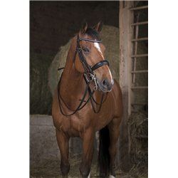 R?nes de bride NORTON PRO 13 mm 2