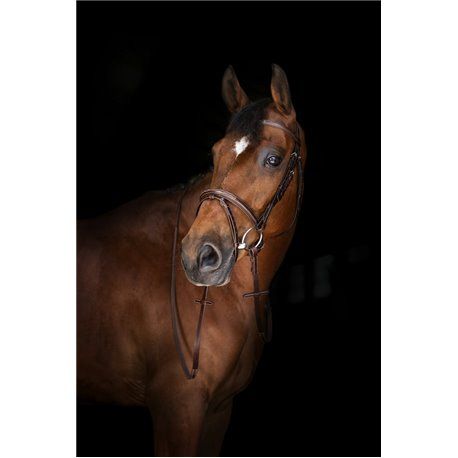 ERIC THOMAS ELITE Z?gel "Hunter" 16 mm