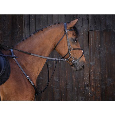 RIDING WORLD Ringmartingal