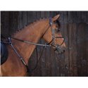RIDING WORLD Ringmartingal