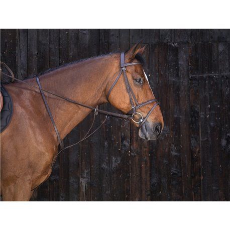 RIDING WORLD Ringmartingal