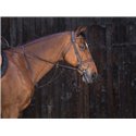 RIDING WORLD Ringmartingal