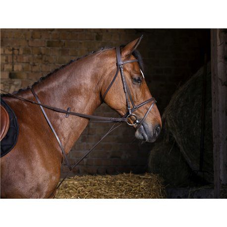 RIDING WORLD festes Martingal
