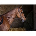 RIDING WORLD festes Martingal