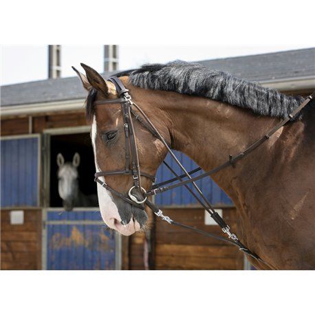 Gogue ?? poulies RIDING WORLD