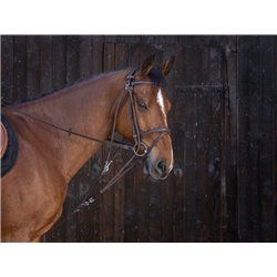 RIDING WORLD Gogue mit Umlenkrollen 2