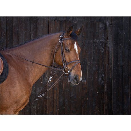 RIDING WORLD Gogue mit Umlenkrollen