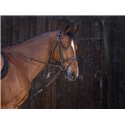 RIDING WORLD Gogue mit Umlenkrollen