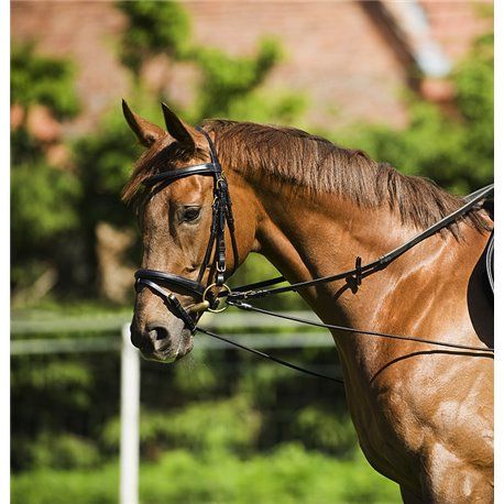 Enr?nement ?lastique r?glable