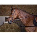 RIDING WORLD Gummiausbinder